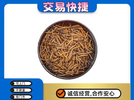 杭州礼品回收虫草.jpg